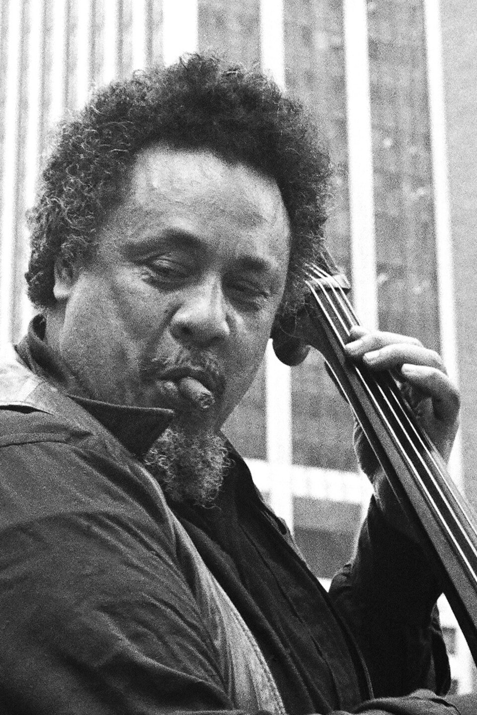 Charles Mingus — artist photo