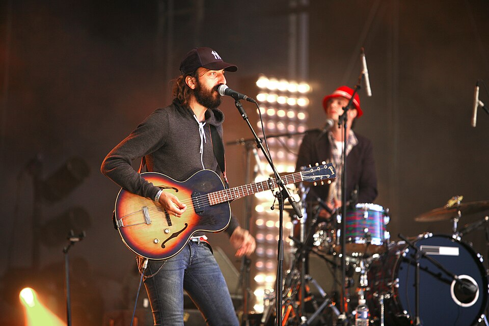 Herman Düne — artist photo