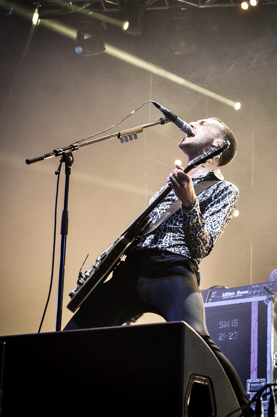 Miles Kane — artist photo