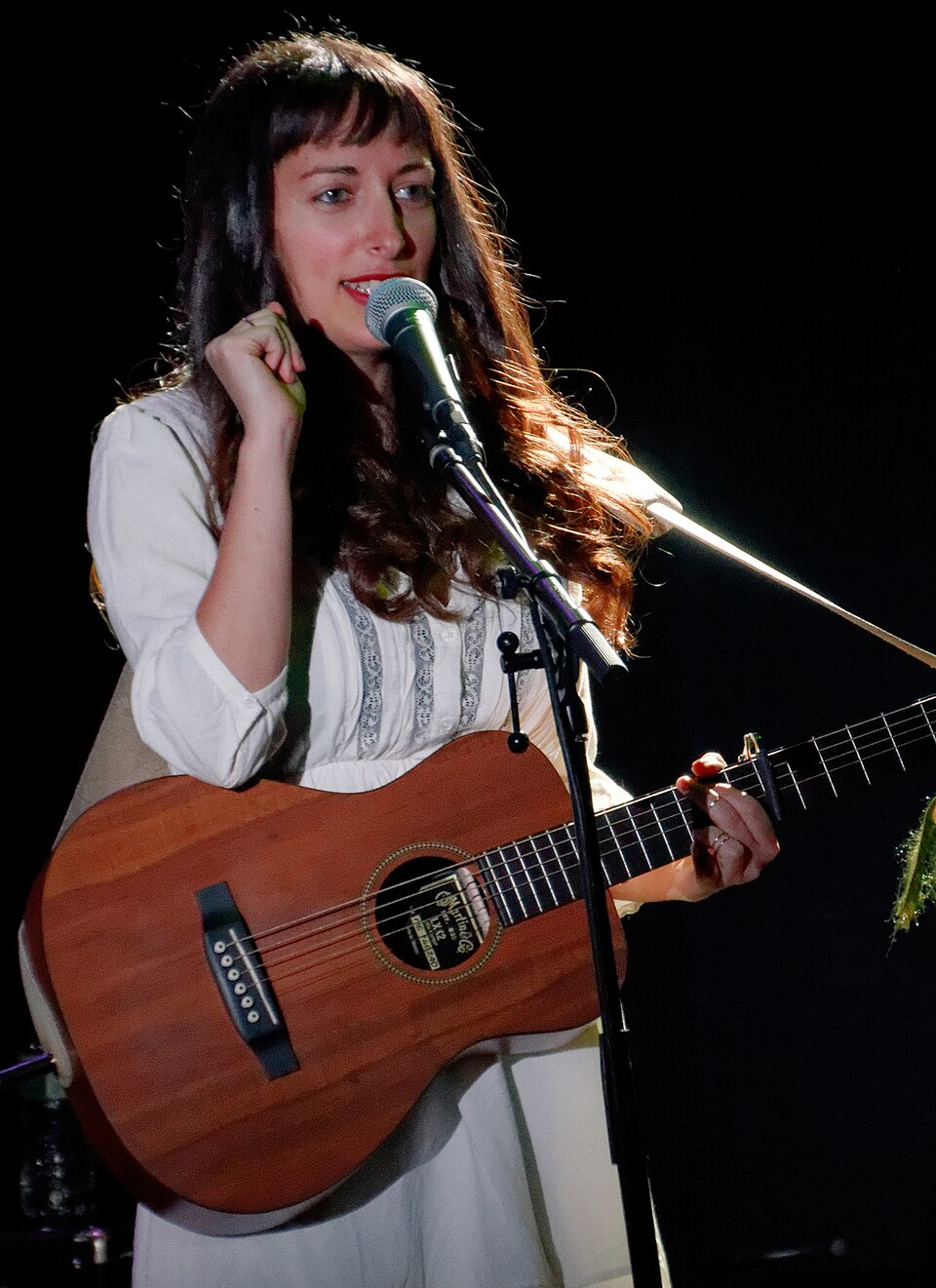 Rosi Golan — artist photo