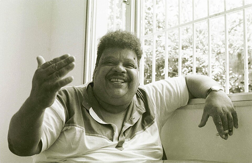 Tim Maia — artist photo