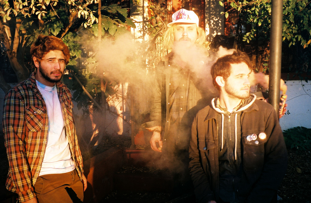 Together Pangea — artist photo