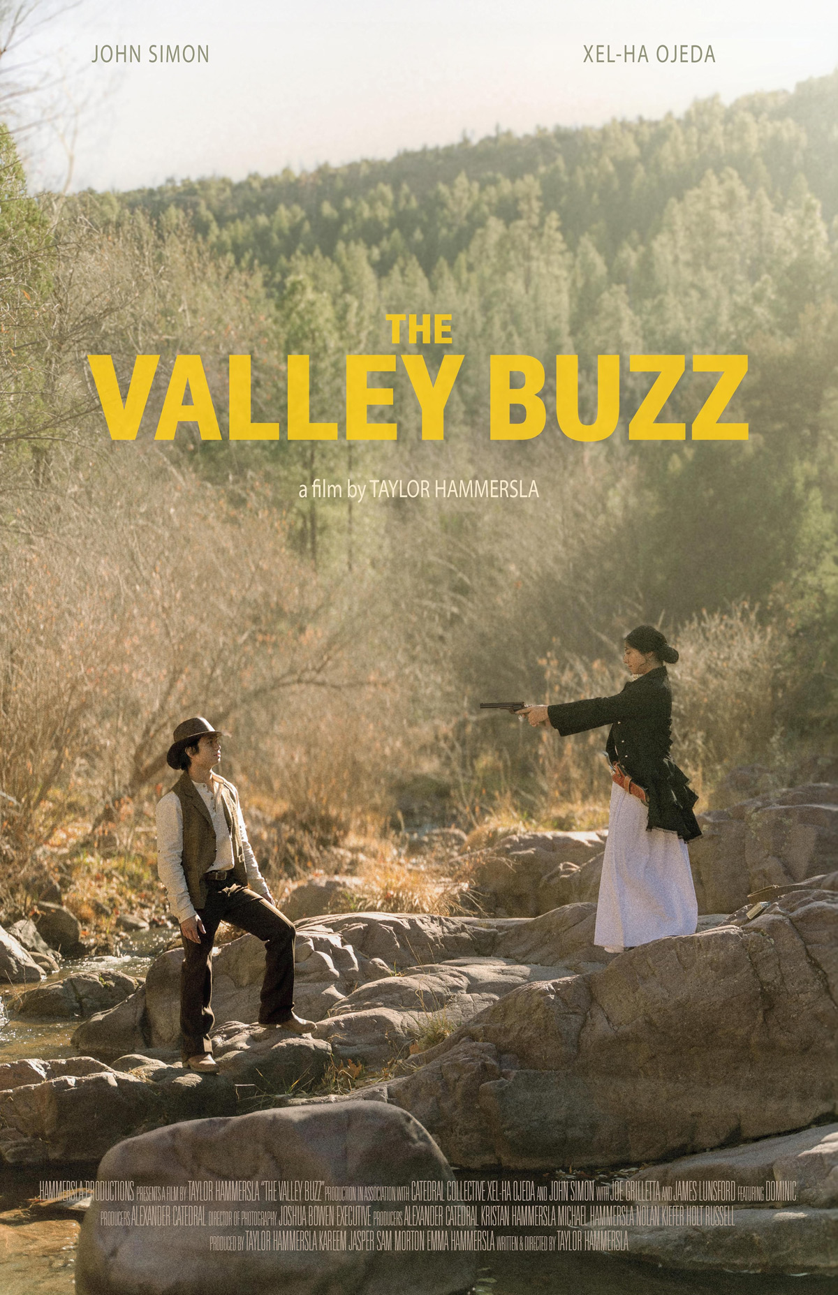 The Valley Buzz film poster